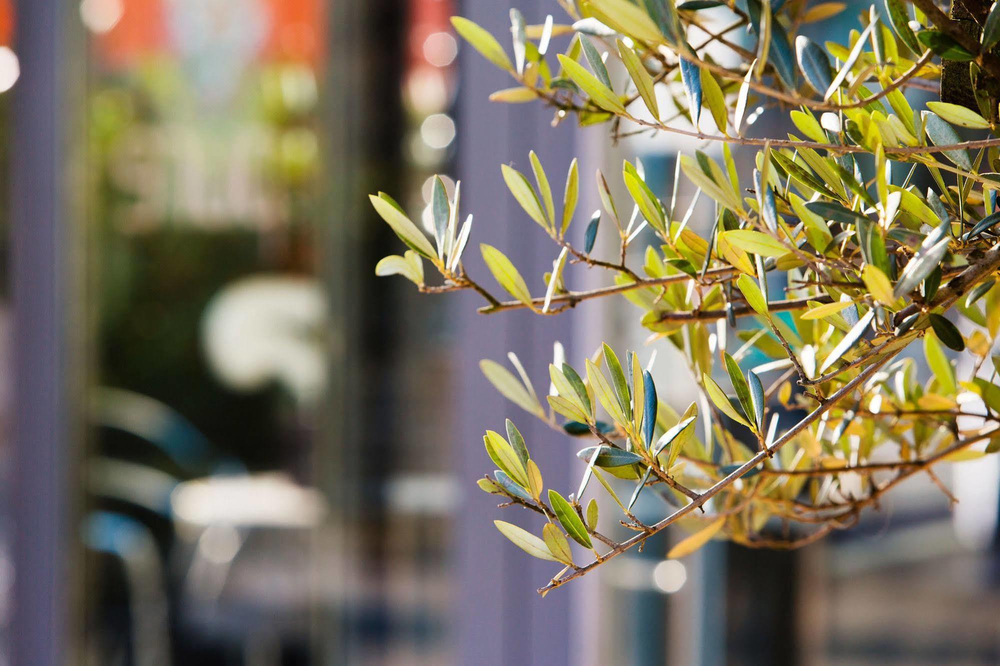Hotel Arte Olten Ngoại thất bức ảnh